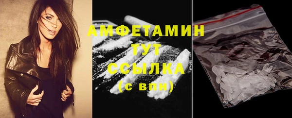 spice Богданович