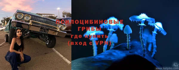 spice Богданович