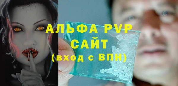 spice Богданович