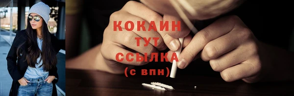 spice Богданович