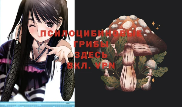 твердый Богородицк