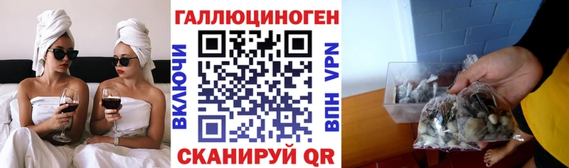 Псилоцибиновые грибы GOLDEN TEACHER  Купить  Гурьевск 